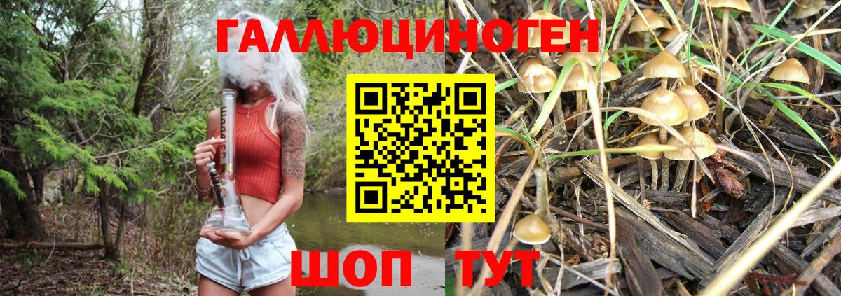 Галлюциногенные грибы ЛСД Энгельс