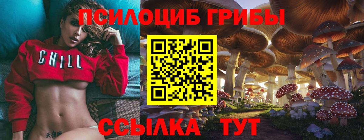 Энгельс  Псилоцибиновые грибы ЛСД  Вход с VPN 